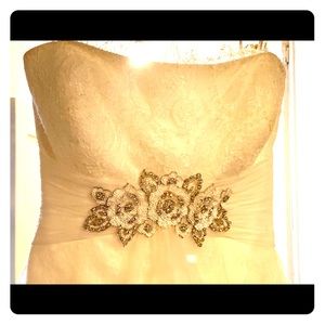 Pronovias Wedding Gown